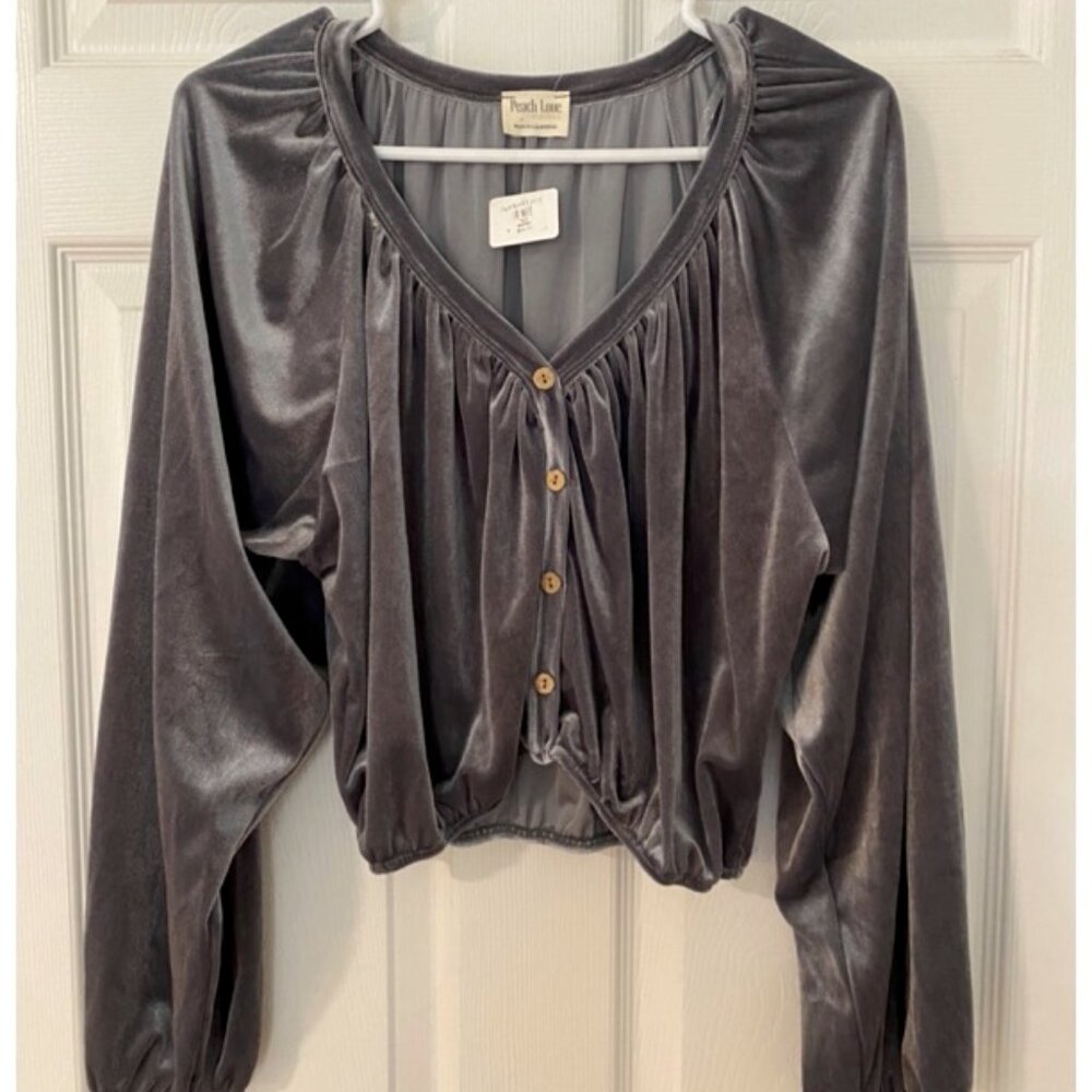 Silver Velvet Blouse